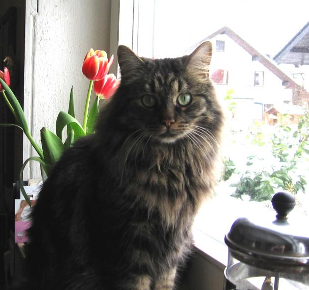 Galeriebild